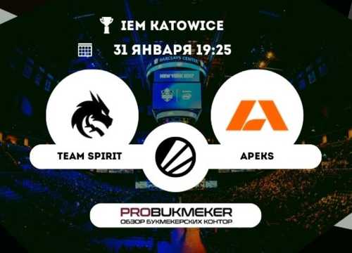 Team Spirit – Apeks